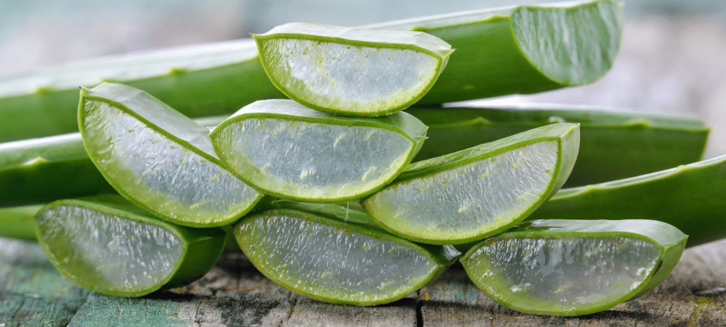 aloe vera texture blanchiment